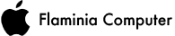 Flaminia Computer